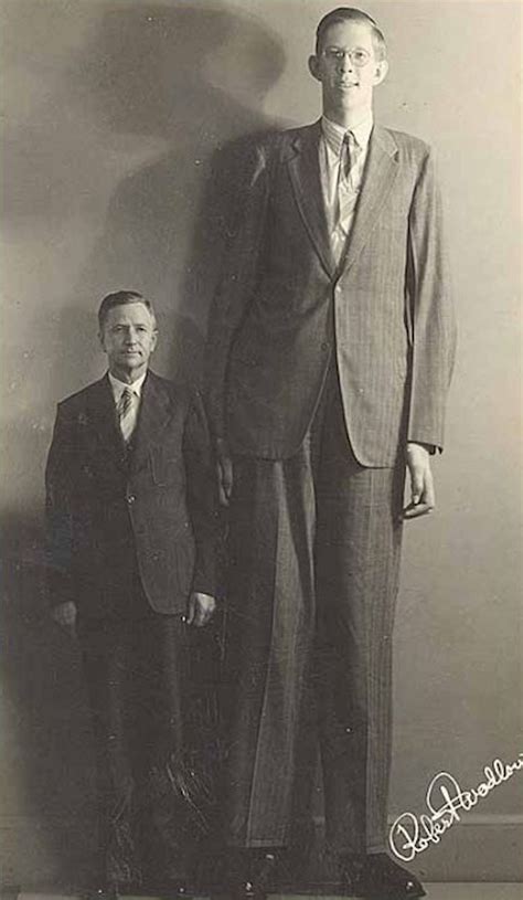 hur lång var världens längsta man